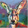 Kangaroo III
